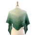 Kalari Shawl
