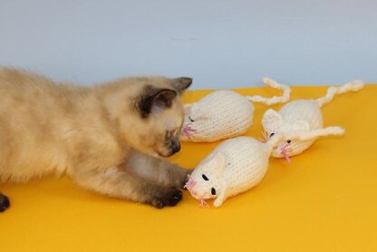 3 Blind Mice Kitten Toy