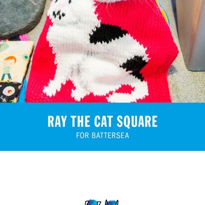 Ray Blanket for Battersea