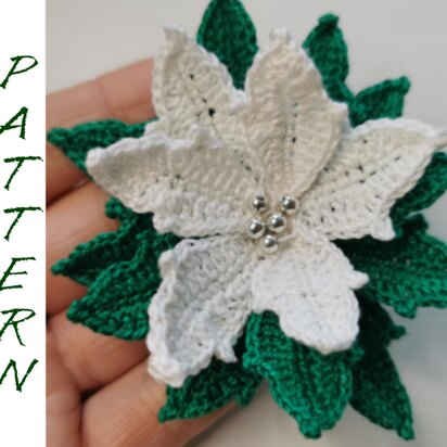 Christmas Poinsettia white flower pattern