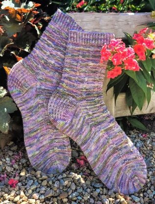 Garden Fence Socks