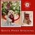 Santa Paws Stocking
