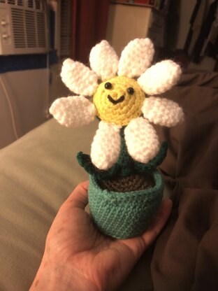 Potted Daisy