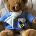 Teddy in Blue