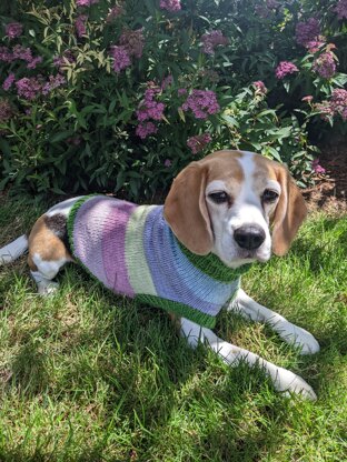 Matching Sweaters for Indy and River