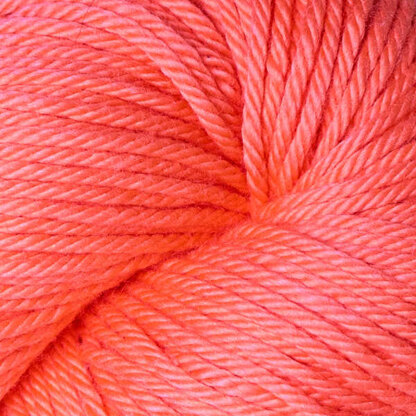 Pimento (84102)