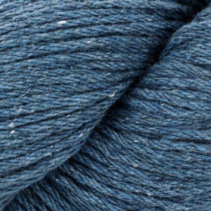 Blue Jay (107)