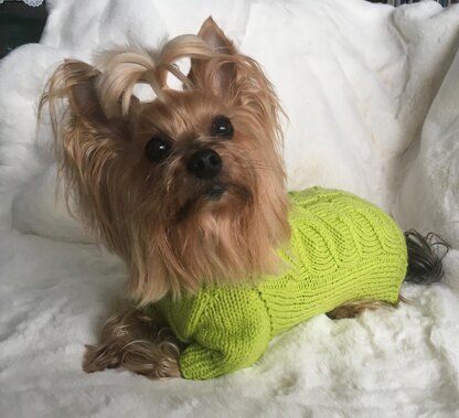 Lime Dog or Cat Sweater