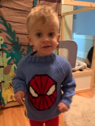 Spider Sweater