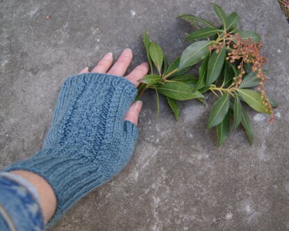 Blue Hill Mitts