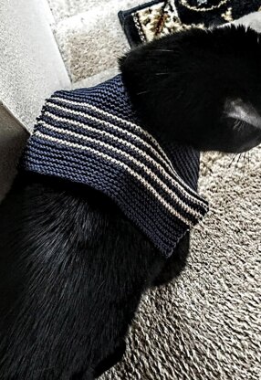 Nauti Cats Need Collars, Too