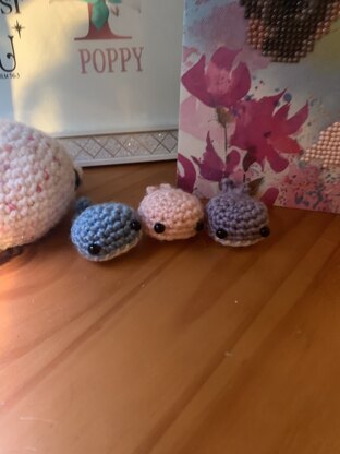 poppys whales 