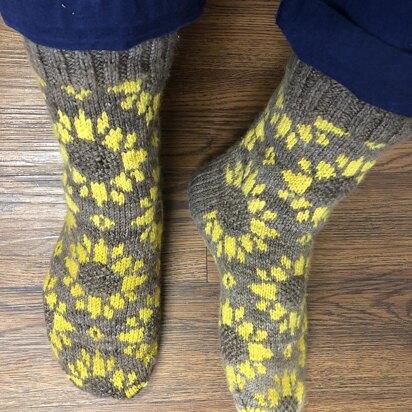 Helianthus Socks - knitting pattern