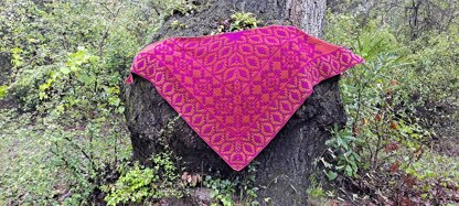 Farahan Shawl