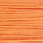 Paintbox Crafts 6 Strand Embroidery Floss 12 Skein Value Pack - Carrot Cake (134)