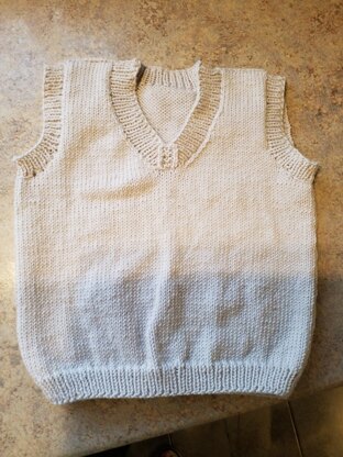 Vest for Arlo