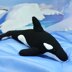 Orca Arrluk (Killer Whale)