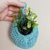 Hanging Air Plant Basket