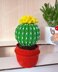 Cactus in a pot_5