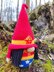 Wonder gnome