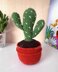 Cactus 2 in a pot