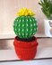 Cactus in a pot_5
