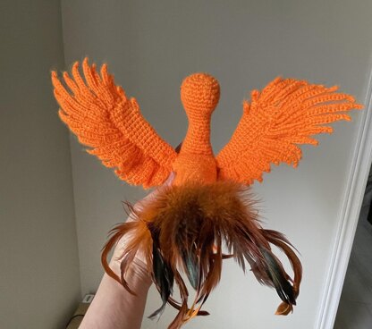 Baby phoenix