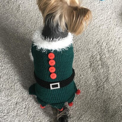 Christmas Elf Dog Costume - knitting pattern