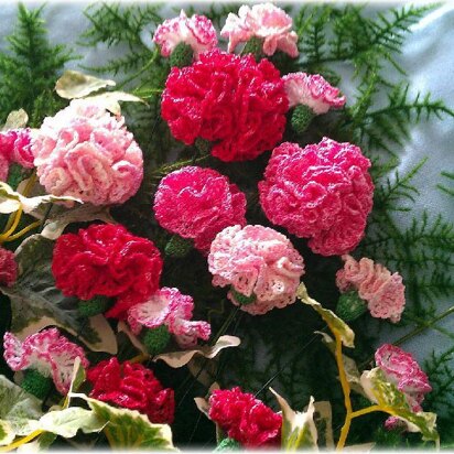 Carnation bouquet