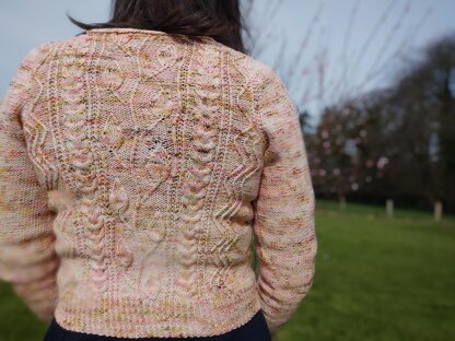 Bellis cardigan