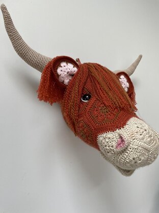 Heather the African flower highland cow head