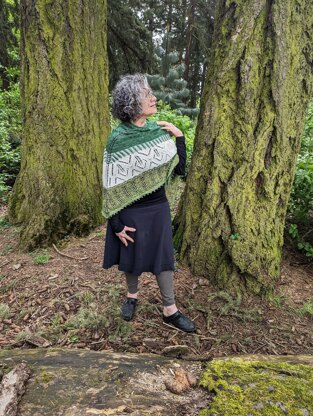 Forest Walk Shawl