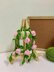 Rose Plant Car Hanging