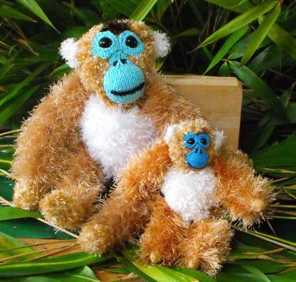 GILBERT AND BABY GEORGE THE GOLDEN MONKEYS
