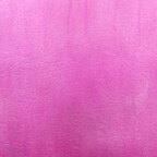 Indian Pink