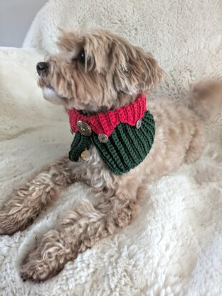 Elf Dog Crochet Cowl