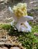 Daisy the wonder flower fairy doll