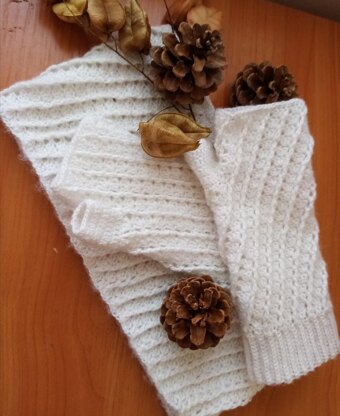 Fingerless Gloves & scarf