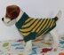 Dog Swirl Stripe Sweater Circular