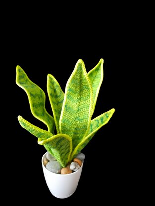 Crochet Snake plant pattern