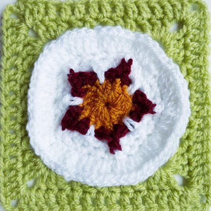 Cistus Granny Square