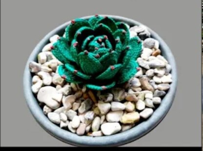 Crochet Hen & Chick's succulent plant