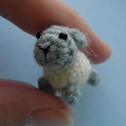 Oh, so tiny! Sheep