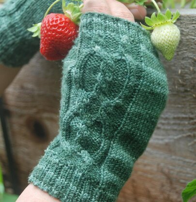 Stoloniferous Fingerless Mitts