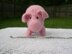 Knitted/Felted Pink Pig