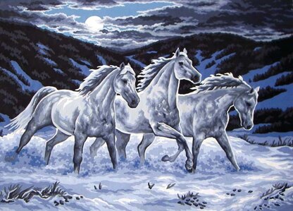Grafitec Midnight Stallions Needlepoint Canvas