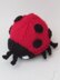 Ladybird Chocolate Orange Cosy