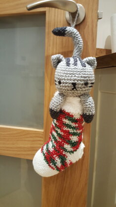 Chester cat in a stocking