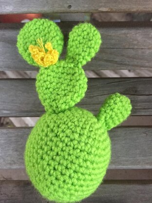 Crochet Cactus 2