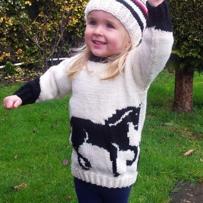 Horse Jumper and Hat